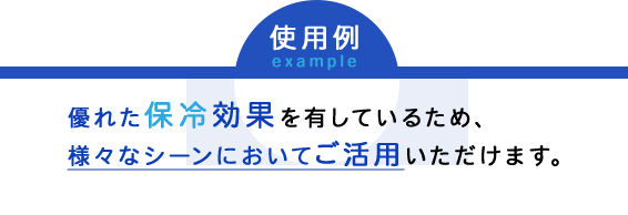 使用例 example 優れた保冷効果を有しているため、様々なシーンにおいてご活用いただけます。