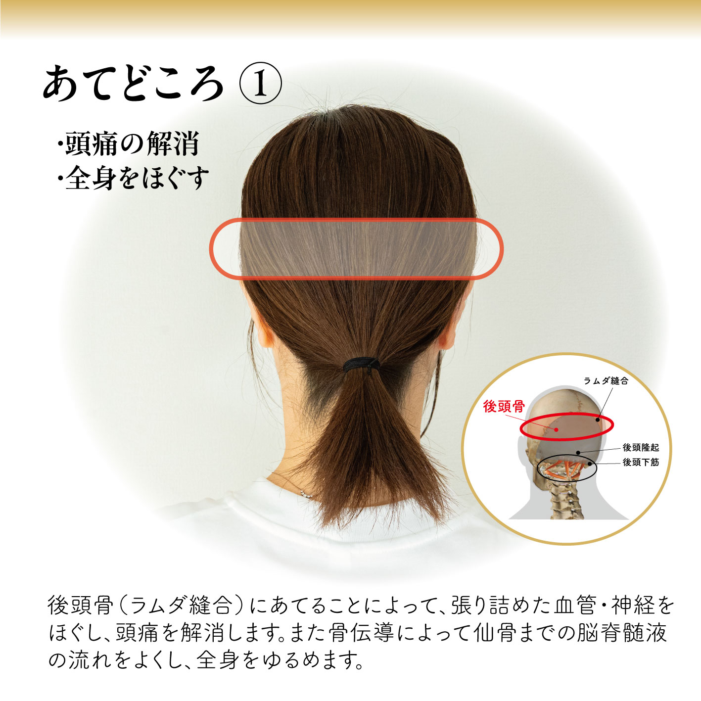 利用シーン|朝・仕事中・夜・移動中