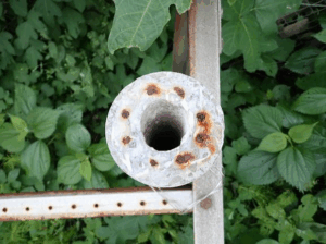 コンクリート柱上面（キャップ無し） 鉄道総研暴露試験場にて、暴露試験1年後