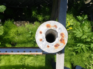 コンクリート柱上面（キャップ無し） 鉄道総研暴露試験場にて、暴露試験半年後